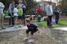 palio 331_101125114120
